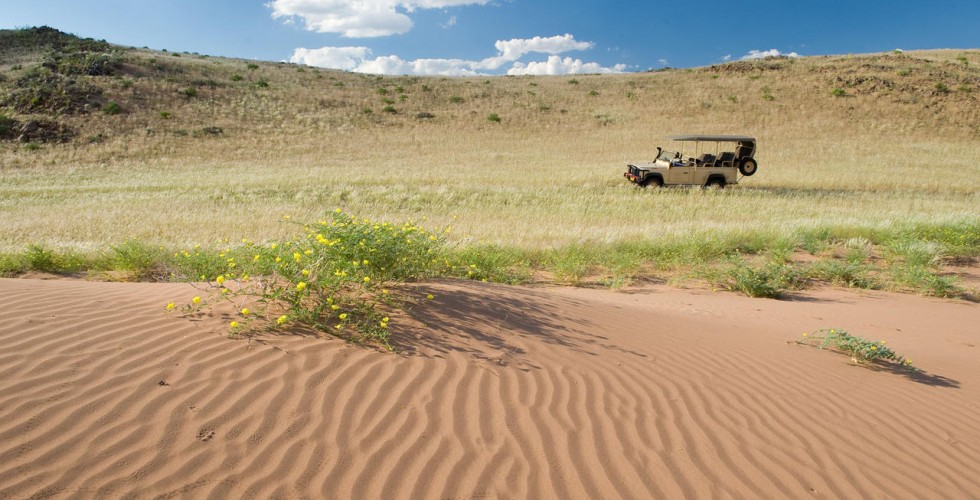 GTNamJourney  WildrnessSafaris 03