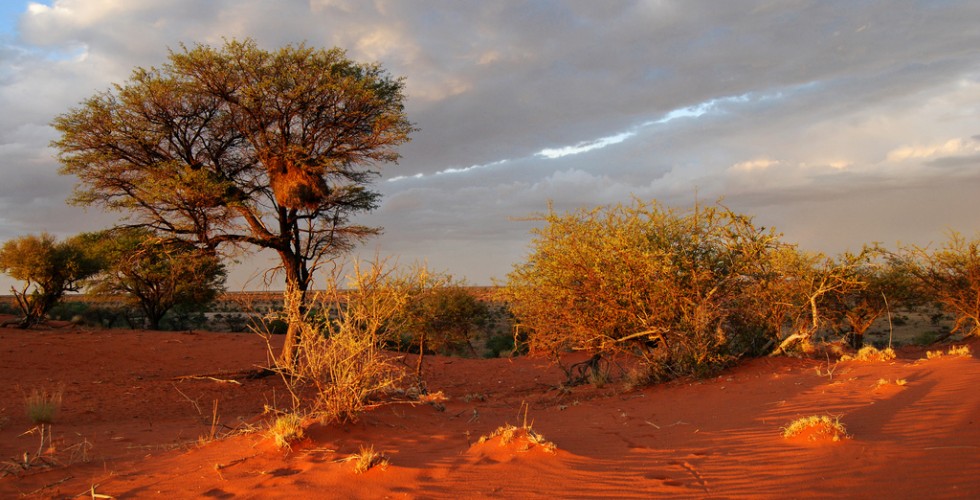 Namibia 1