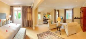 image-(11)