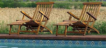 image-(2)