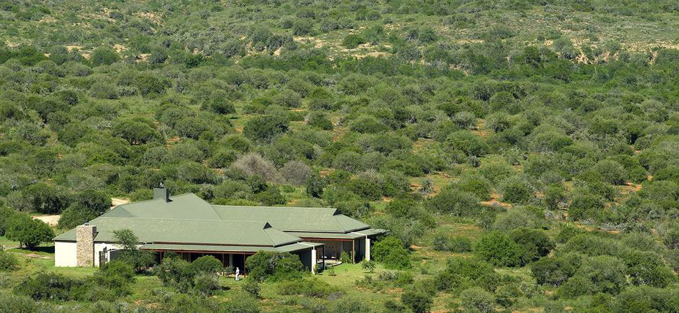 image-(8)