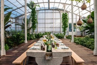 spice-garden