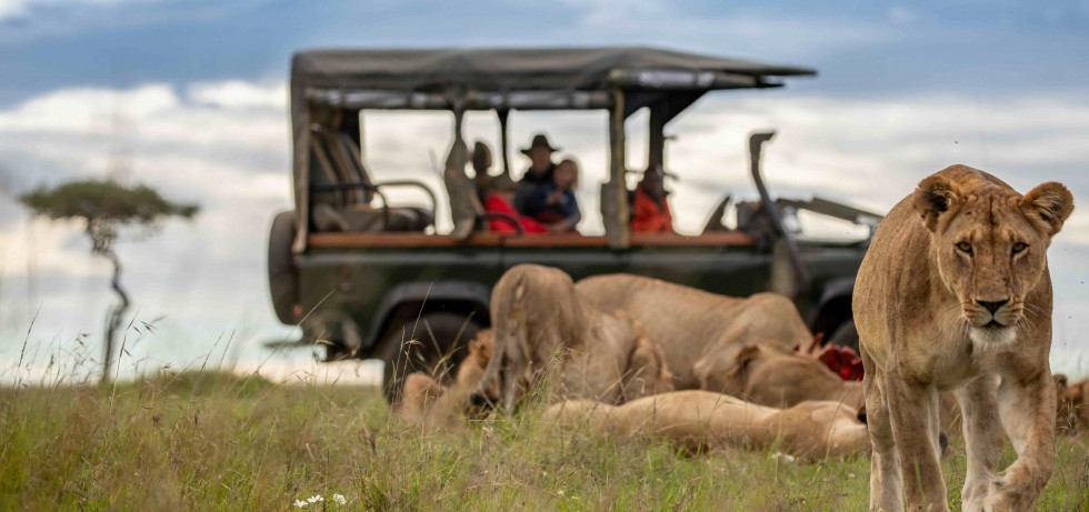 bush-and-beyond-house-in-the-wild-activities-game-drive-lionesses